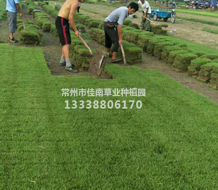 201872711134.html